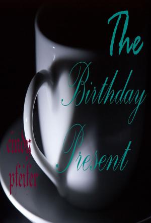 Cover of the book THE BIRTHDAY PRESENT by Henry Wienand