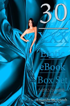 bigCover of the book 30 XXX Erotic eBook Box Set by 