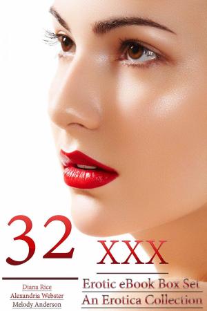 Book cover of 32 XXX Erotic eBook Box Set – An Erotica Collection