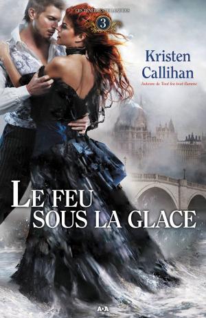 Cover of the book Le feu sous la glace by Simon Rousseau
