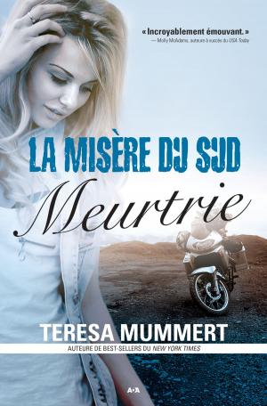 Cover of the book La misère du sud by Megan Mitcham