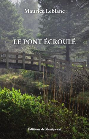 Book cover of Le pont écroulé