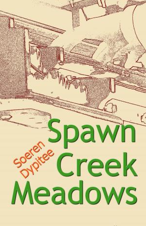 Cover of the book Spawn Creek Meadows by J. S. Anderson