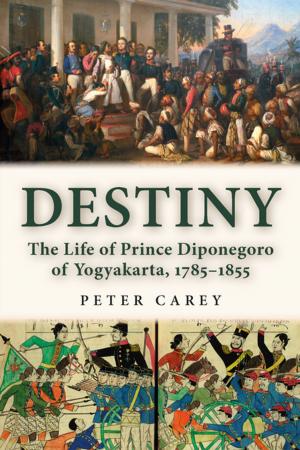 Cover of the book Destiny by Luka Vidmar