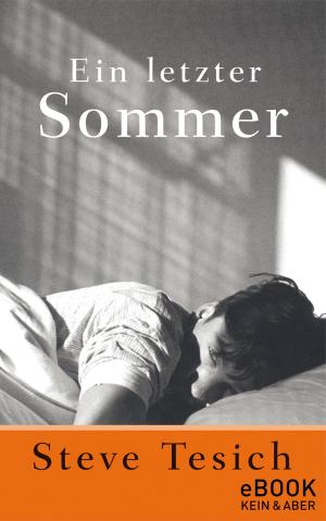 Cover of the book Ein letzter Sommer by Mikael Krogerus, Roman Tschäppeler