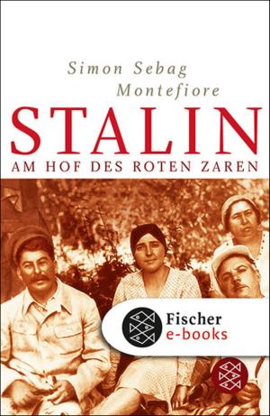 Cover of the book Stalin by Jay Kristoff