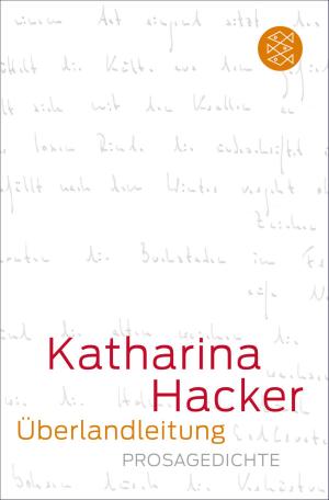 Cover of the book Überlandleitung by Janine Berg-Peer