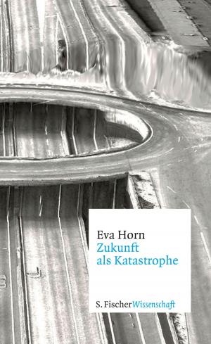 Cover of the book Zukunft als Katastrophe by Julia Franck
