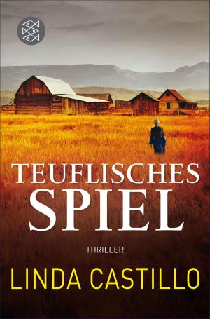 Book cover of Teuflisches Spiel