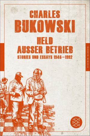 Cover of the book Held außer Betrieb by Sandra Lüpkes