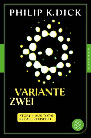 Cover of the book Variante zwei by Eric-Emmanuel Schmitt