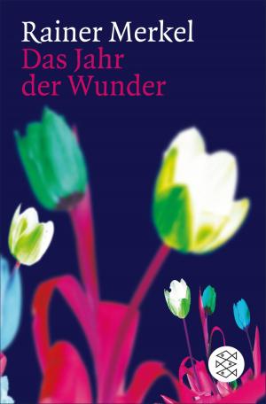 Cover of the book Das Jahr der Wunder by Édouard Louis