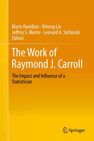 Cover of the book The Work of Raymond J. Carroll by Ignacy Kaliszewski, Janusz Miroforidis, Dmitry Podkopaev