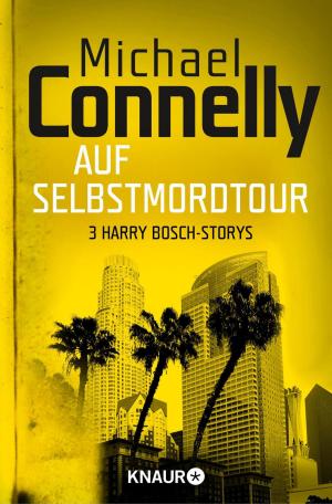 Cover of the book Auf Selbstmord-Tour by Juliet Marillier