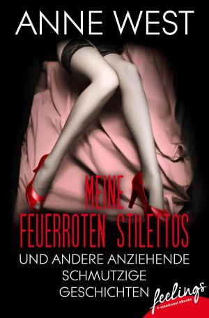 Cover of the book Meine feuerroten Stilettos by Maggie Stiefvater