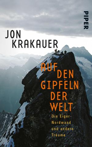 Cover of the book Auf den Gipfeln der Welt by Maarten 't Hart