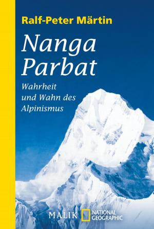 Cover of the book Nanga Parbat by Andreas Brandhorst
