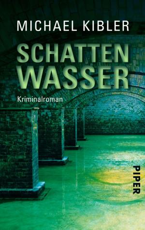 Cover of the book Schattenwasser by G. A. Aiken