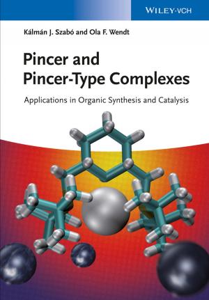 Cover of the book Pincer and Pincer-Type Complexes by Stephan Freudenstein, Konstantin Geisler, Tristan Molter, Michael Missler, Christian Stolz