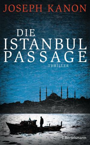 Cover of the book Die Istanbul Passage by Antonin Varenne