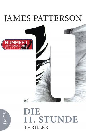 Cover of the book Die 11. Stunde by James Patterson, Maxine Paetro