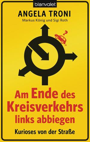 Cover of the book Am Ende des Kreisverkehrs links abbiegen by Nora Roberts