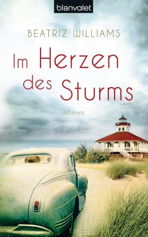 Book cover of Im Herzen des Sturms