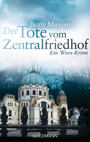 Cover of the book Der Tote vom Zentralfriedhof by Vadim Tschenze