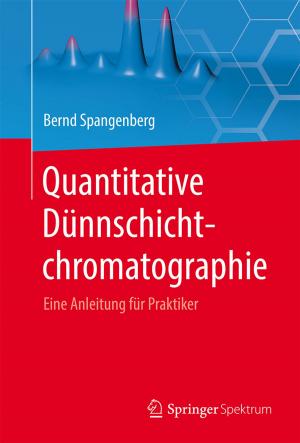Cover of the book Quantitative Dünnschichtchromatographie by Martin Lay