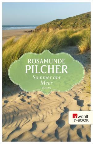 Cover of the book Sommer am Meer by Kathrin Passig, Aleks Scholz
