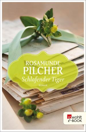 Cover of the book Schlafender Tiger by David Vlietstra