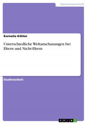 Cover of the book Unterschiedliche Weltanschauungen bei Eltern und Nicht-Eltern by Florian Riedel