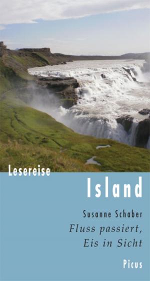 Book cover of Lesereise Island