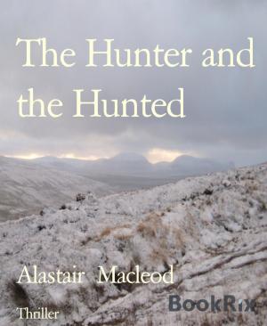 Cover of the book The Hunter and the Hunted by McCollonough Ceili