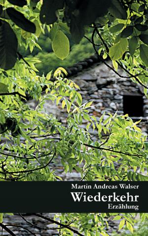 Cover of the book Wiederkehr by Matthias Boll