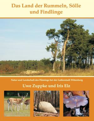 Cover of the book Das Land der Rummeln, Sölle und Findlinge by Romy Fischer