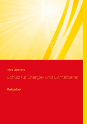 Cover of the book Schutz für Energie- und Lichtarbeiter by Jörg Dauscher