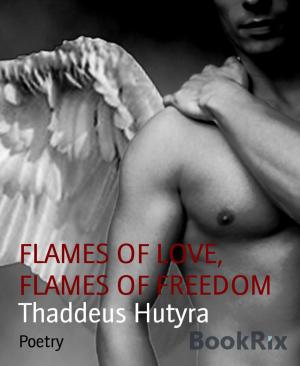 Cover of the book FLAMES OF LOVE, FLAMES OF FREEDOM by Pia Engström