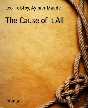 Cover of the book The Cause of it All by Cornelia von Soisses, Franz von Soisses