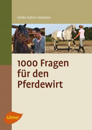 Cover of 1000 Fragen für den jungen Pferdewirt
