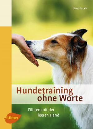 Cover of the book Hundetraining ohne Worte by Dipl.-Ing. Monika Dimitrakopoulos-Gratz
