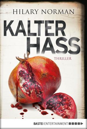 Cover of the book Kalter Hass by Allan Pinkerton
