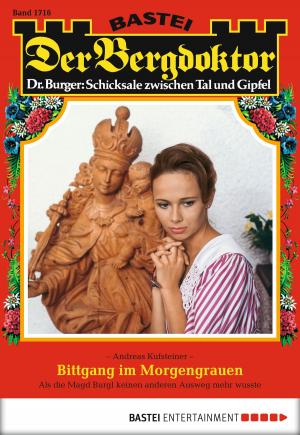 Cover of the book Der Bergdoktor - Folge 1716 by Ina Ritter