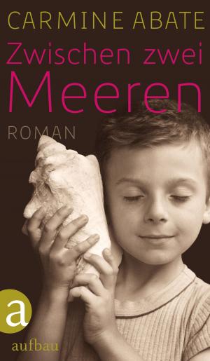 Cover of the book Zwischen zwei Meeren by Ann Rosman
