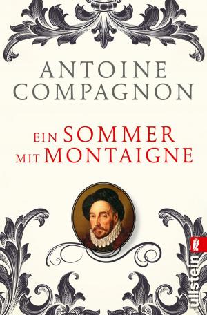 Cover of the book Ein Sommer mit Montaigne by Elena-Katharina Sohn