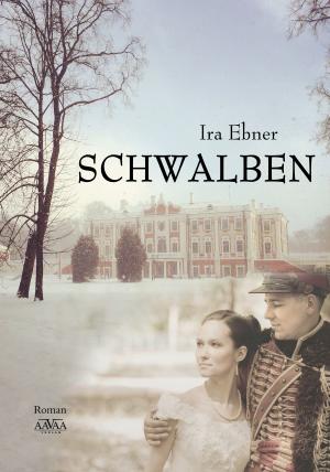 Cover of the book Schwalben by Hansjörg Anderegg