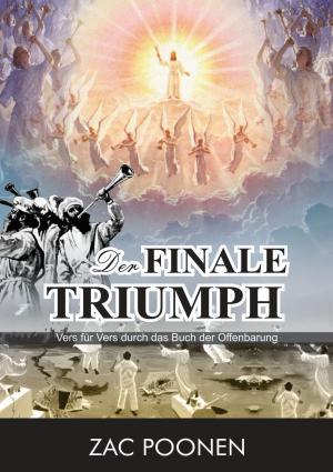 Cover of the book Der finale Triumph by Heike Rau
