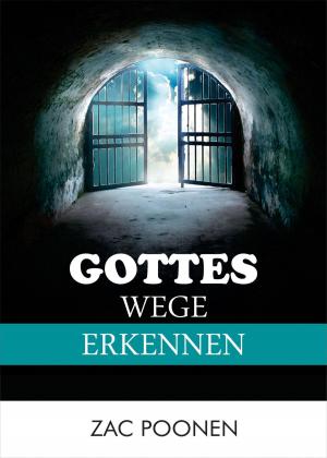 Cover of the book Gottes Wege erkennen by Andre Sternberg