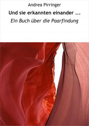 Cover of the book Und sie erkannten einander ... by Agnes Meindl
