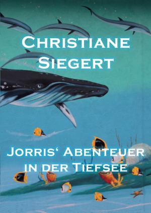 Book cover of Jorris' Abenteuer in der Tiefsee